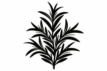 rosemary line art silhouette vector illustration