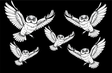 abstract beground illustration set of owls again flying