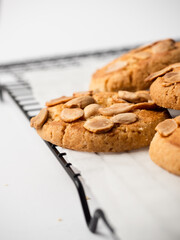 Bunch of almond cookies on a cooling tray with a white background