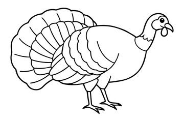 turkey line art silhouette vector illustration