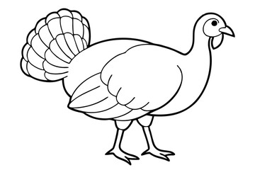 turkey line art silhouette vector illustration
