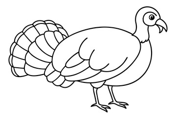 turkey line art silhouette vector illustration
