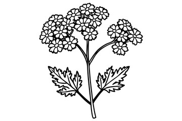 Obraz premium yarrow flower line art silhouette vector illustration