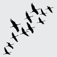 A flock of birds flying in synchronized motion image silhouette design vector art and illustration