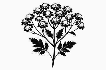 yarrow flower line art silhouette vector illustration