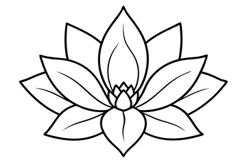 zenobia flower line art silhouette vector illustration