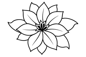 zenobia flower line art silhouette vector illustration