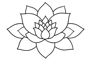 zenobia flower line art silhouette vector illustration