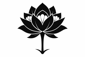 zenobia flower line art silhouette vector illustration