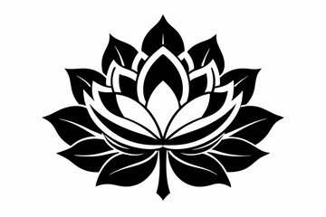 zenobia flower line art silhouette vector illustration