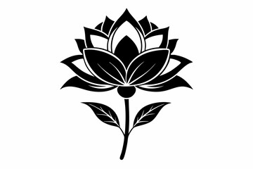 zenobia flower line art silhouette vector illustration