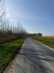 La Neuville Au Pont, March 2025:hiking in the Argonne and Ardennes forests, surrounded by trees and nature	