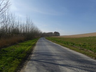 La Neuville Au Pont, March 2025:hiking in the Argonne and Ardennes forests, surrounded by trees and nature	