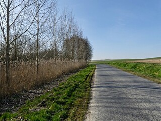 La Neuville Au Pont, March 2025:hiking in the Argonne and Ardennes forests, surrounded by trees and nature	