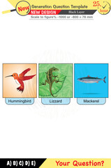 High school, middle school, exam question template, numerical lessons, verbal lessons, Next generation problems, for teachers, eps, 20226
