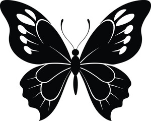 black and white butterfly