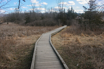Appalachian trail in New Jersey