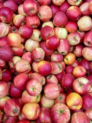Many fresh red and yellow apples 