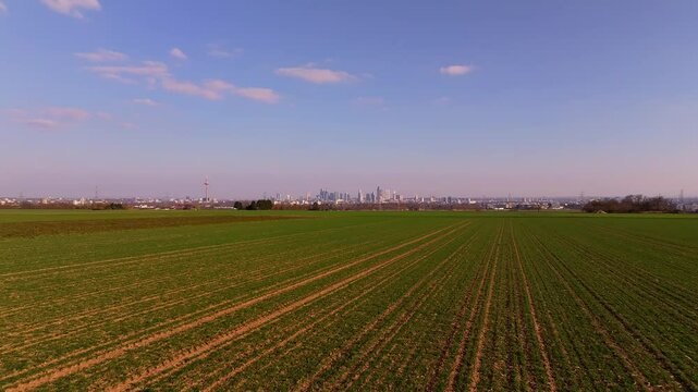 the skyline of frankfurt germany from far 4k 30fps video