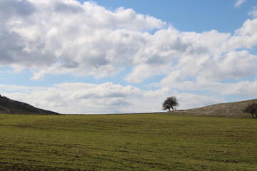 gorgeous cloud view in blue sky