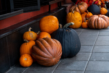 Colorful pumpkins displayed on the sidewalk of a bustling urban street