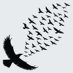 A flock of birds is flying in the sky image silhouette design vector art and illustration