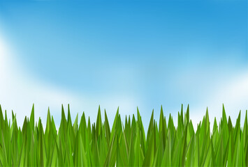 Obraz premium Green grass tuft bush on cloudy sky sunrise. 3d header background texture. Blue Easter border. Vector football field park, turf hill layout. Spring reed lawn landscape with sunny transparent fresh air