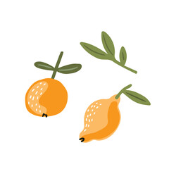 Cute hand drawn doodle yellow fruits, Vector illustration on white background.