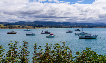 Fototapeta premium Fishing Boats in the Bay of South Island, New Zealand