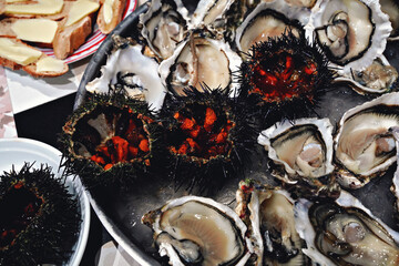 Top view of seafood platter: shellfish, oysters, sea urchin and balsamic sauce