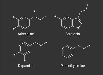 Serotonin, Dopamine, Adrenaline, and Phenethylamine Chemical Structures illustration. Neurotransmitter molecular formula vector. 