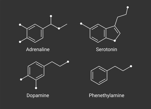 Serotonin, Dopamine, Adrenaline, and Phenethylamine Chemical Structures illustration. Neurotransmitter molecular formula vector. 