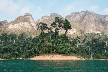 Lush island surrounded by mountains in a serene lake at midday in a tropical rainforest
