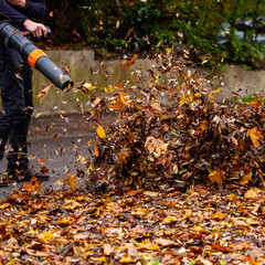 Souffleur de feuilles