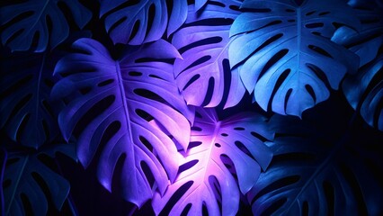 Neon tropical Monstera leaf banner