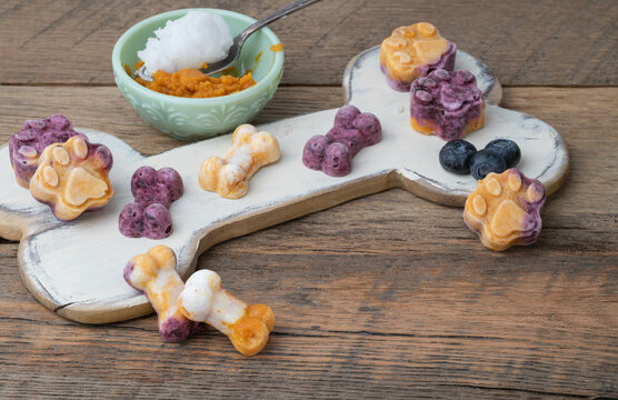Frozen dog treats made with colorful blueberries, pumpkin, yogurt, and coconut oil on a bone shape platter, healthy organic pet snack.