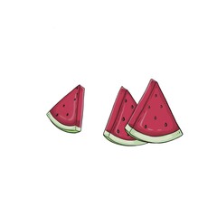 Red watermelon pieces on the white background