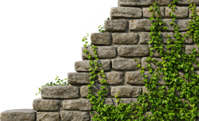 Stone Wall with Lush Green Ivy Climbing Upwards Nature Background Texture for Design
