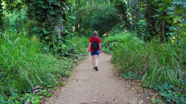 Female Hiker in Tropical Forest on The Honolua Bay Trail, Honolua, Maui, Hawaii, USA