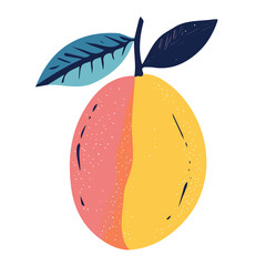 My hand-drawn colorful Mango. Trendy abstract minimal style. Natural fresh. Vector illustration isolated on white background, vector illustration