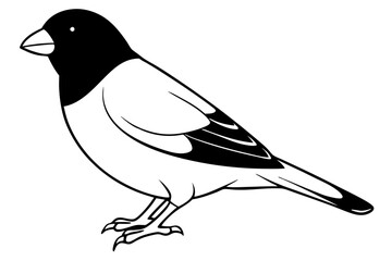 bullfinch line art silhouette vector illustration