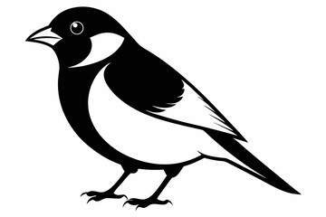 bullfinch line art silhouette vector illustration