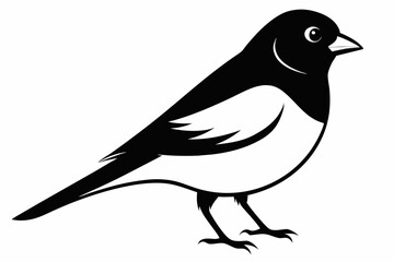 bullfinch line art silhouette vector illustration