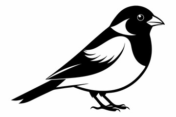 Obraz premium bullfinch line art silhouette vector illustration
