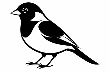 Obraz premium bullfinch line art silhouette vector illustration