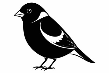 bullfinch line art silhouette vector illustration