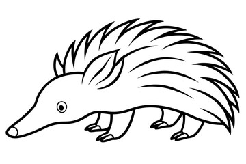 echidna line art silhouette vector illustration
