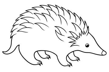 echidna line art silhouette vector illustration