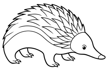 echidna line art silhouette vector illustration