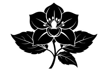 hellebore flower line art silhouette vector illustration